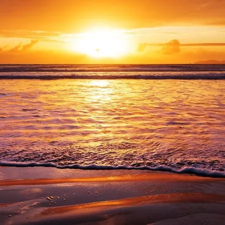 Nadmorski Rybitwa 7 4*