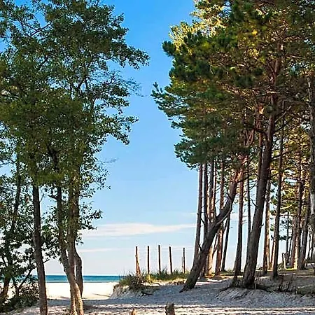 Nadmorski Rybitwa 7