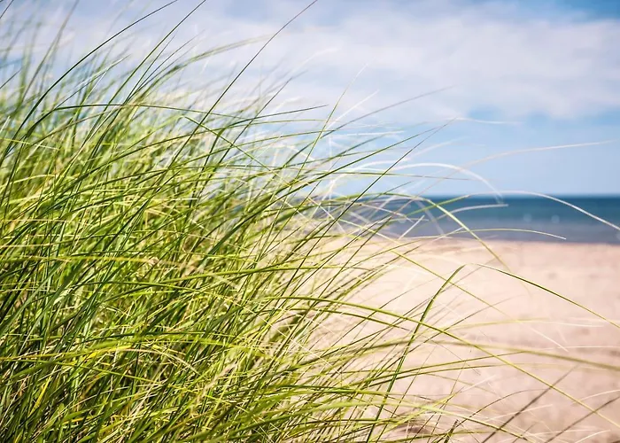 Nadmorski Rybitwa 7 Pobierowo